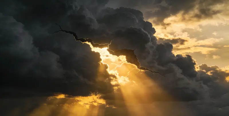 天津肺癌靶向120基因检测（组织）图片1