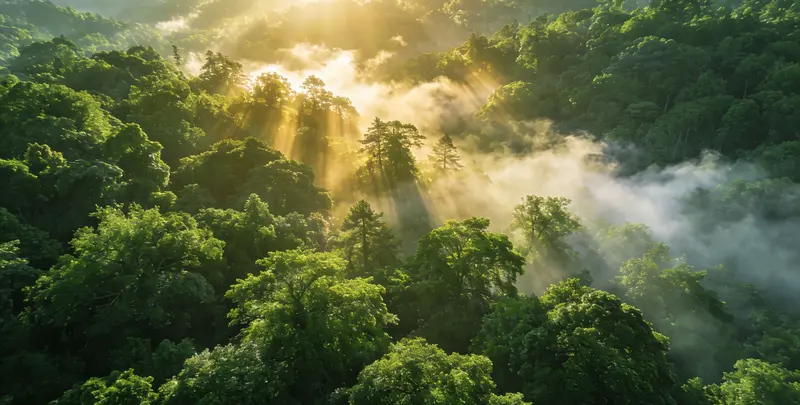 天津肺癌119基因检测图片1